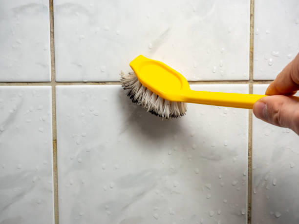 Best Certified Mold Removal  in Sangaree, SC